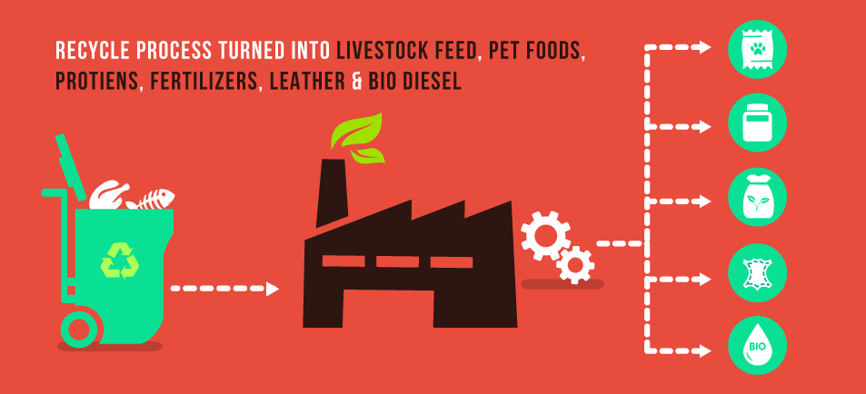 Recycle process turned into Livestock Feed, Pet Foods, Proteins, Fertilizers, Leather and Bio Diesel